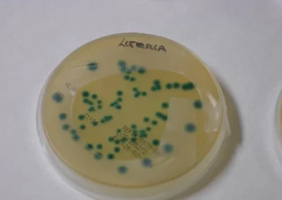 microbiológia aplicada 2014