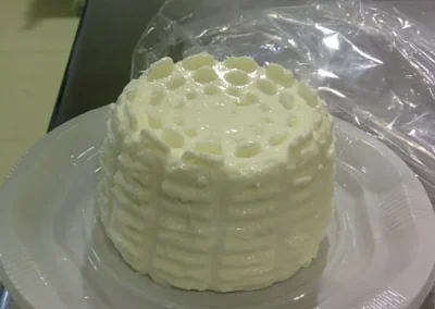 curso taller de derivados lácteos artesanales de mayo de 2014