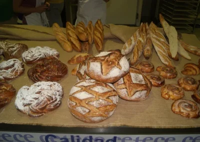 Fotos del curso "El universo de Xavier Barriga 2014"