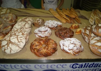 Fotos del curso "El universo de Xavier Barriga 2014"