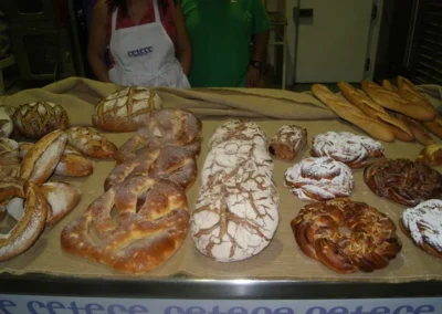 Fotos del curso "El universo de Xavier Barriga 2014"