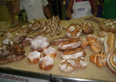 Fotos del curso "El universo de Xavier Barriga 2014"