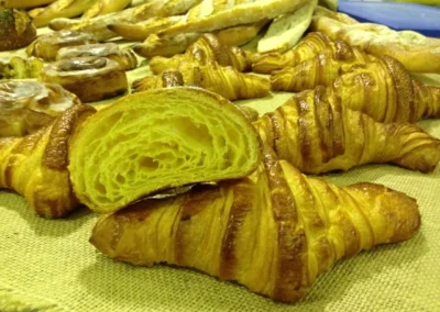 Fotos del curso "El universo de Xavier Barriga 2014"