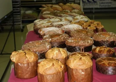 Al éxito con la Masa Madre de Cultivo de Trigo 2015