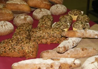 Al éxito con la Masa Madre de Cultivo de Trigo 2015