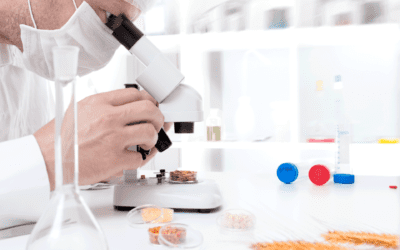 investigación alimentaria