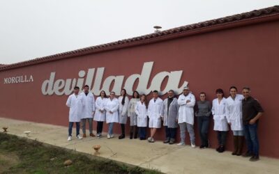 Actividad Aula-Empresa: Morcillas de Villada