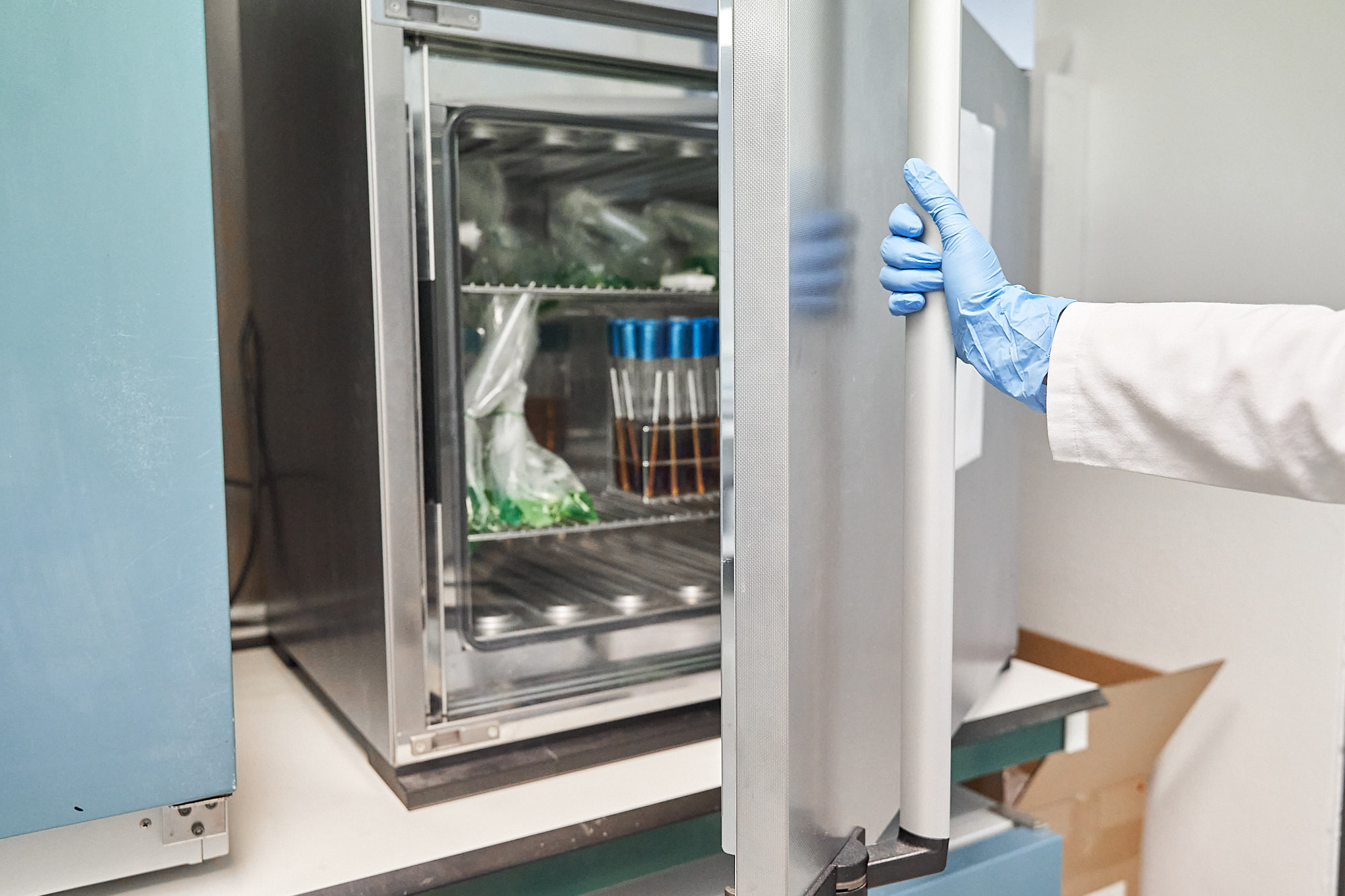 laboratorio alimentario cetece