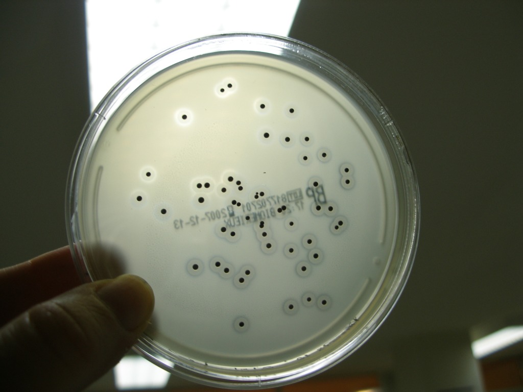 laboratorio cetece
