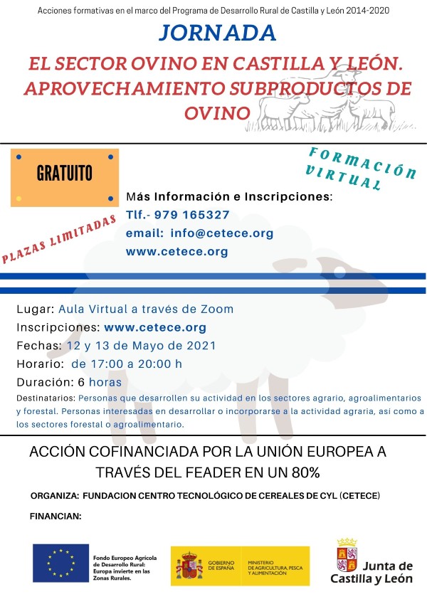 Jornada el sector ovino en Castilla y León aprovechamiento subproductos de ovino