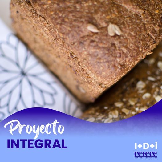 ¡Orgullosos de compartir nuestro último éxito en CETECE! Presentamos el proyecto «»INTEGRAL»»