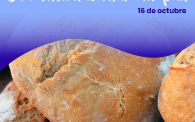 Celebremos el Día Internacional del Pan con Sabiduría Nutricional