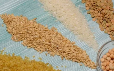 Análisis de la digestibilidad del almidón en productos a base de cereales