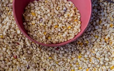 Análisis de arabinoxilanos en productos a base de cereales.