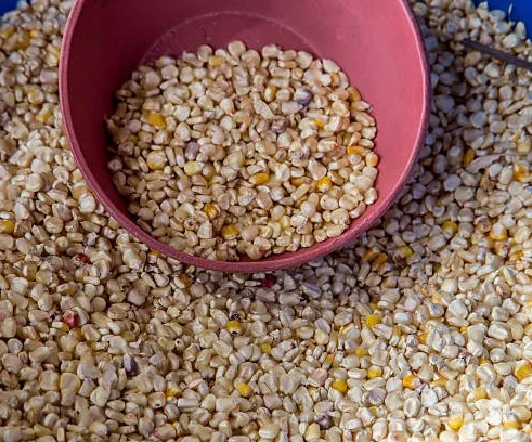 Análisis de arabinoxilanos en productos a base de cereales.