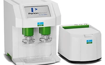 GLUTOMATIC Y GLUTORK