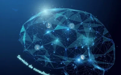 Descubre nuestros servicios