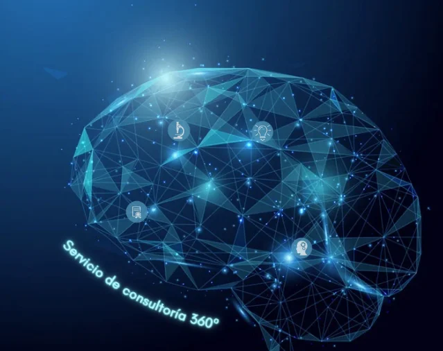 Descubre nuestros servicios