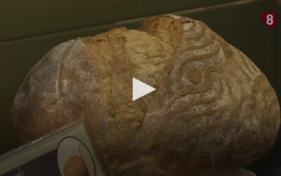 El CETECE estudia a diario las diferentes características del pan