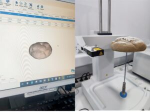 analizar pan analizar pan