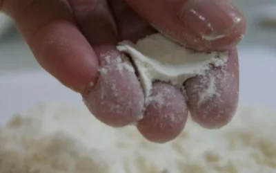 Concluye el curso de calidad de harinas “HARINAS DE DISTINTO COSTAL”