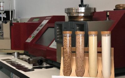 ¿Cómo Caracterizo mi Harina de Trigo?