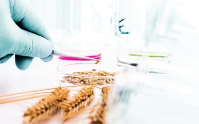 Cómo comparar resultados de análisis obtenidos en distintos laboratorios