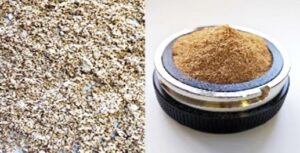 Detalle de bagazo húmedo y su acondicionamiento para incorporación en la panificación.