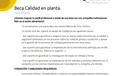 Beca Calidad en planta cerealto