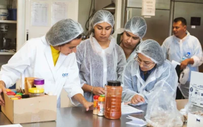 Los finalistas de ImpacTaste dan vida a sus ideas en CETECE