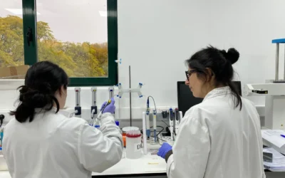 analizamos la digestibilidad real