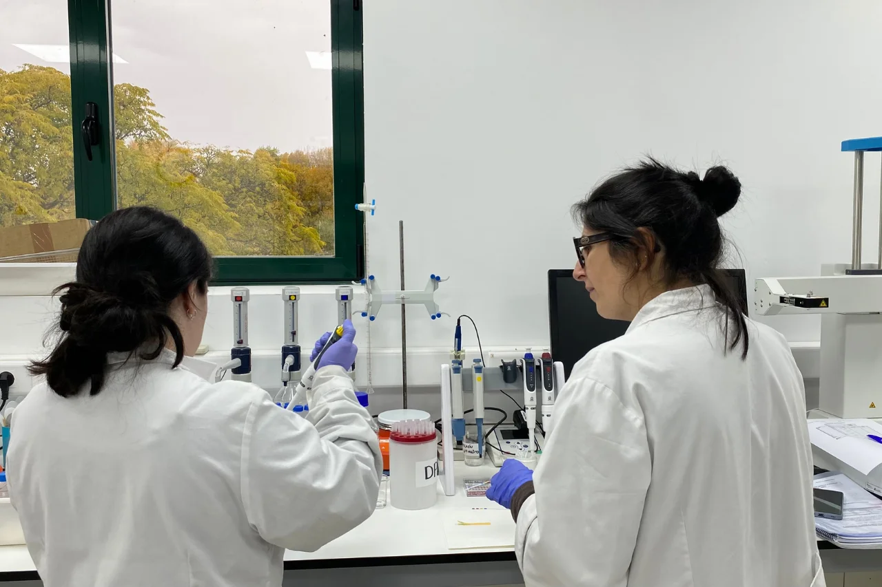 Más allá del contenido proteico: analizamos la digestibilidad real Más allá del contenido proteico: analizamos la digestibilidad real