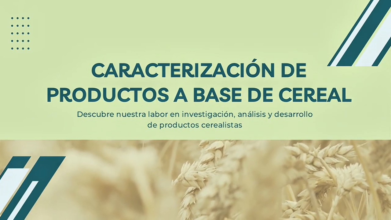 Caracterización de productos en base cereal