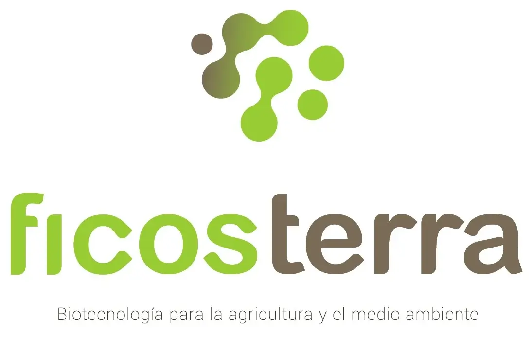 FICOSTERRA FICOSTERRA
